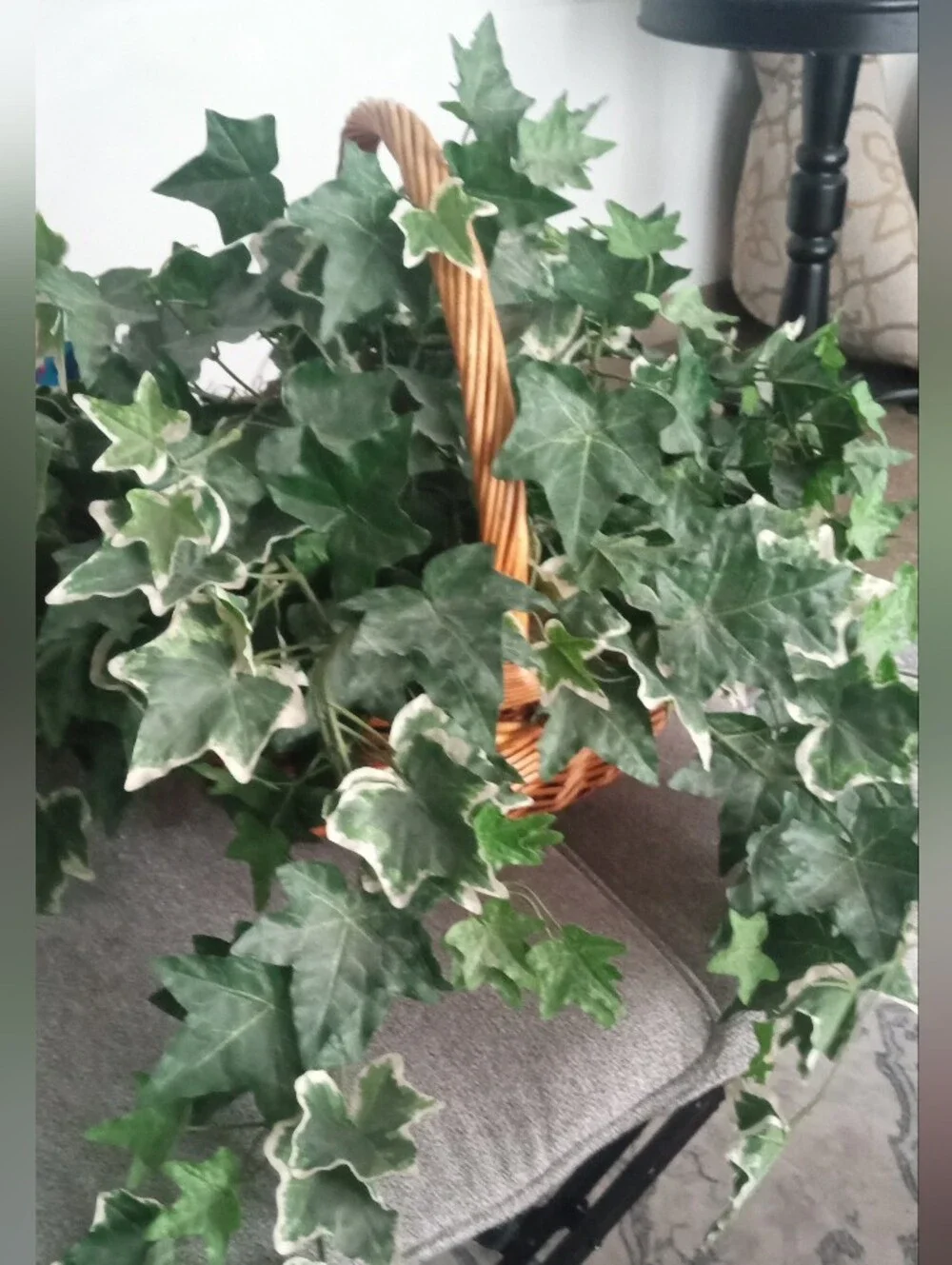 Faux Ivy Basket Plant - Lush Variegated Green Leaves